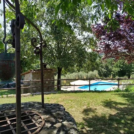 Selvadonica Caprese Michelangelo