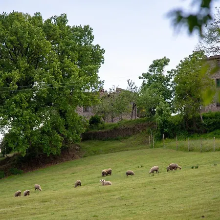 Selvadonica ファームステイ カプレーゼ・ミケランジェロ