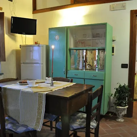 Selvadonica カプレーゼ・ミケランジェロ