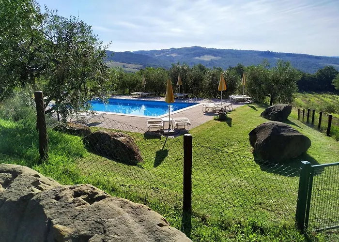 Selvadonica Caprese Michelangelo