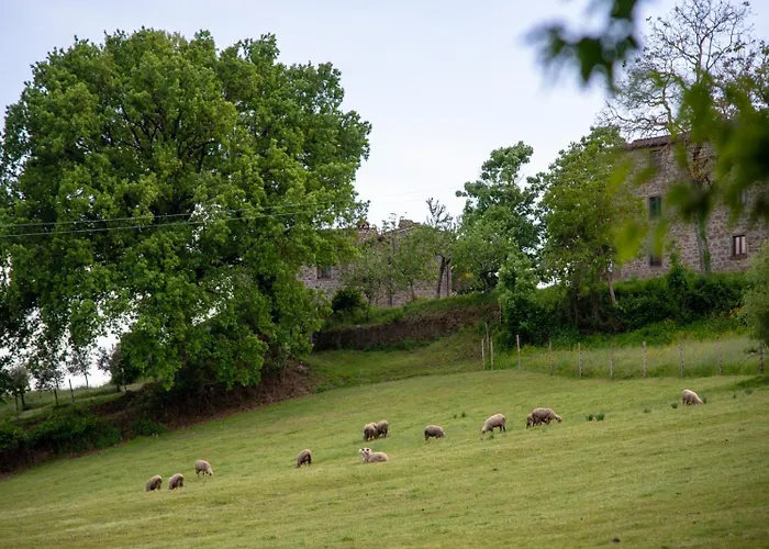 Selvadonica Vakantieboerderij Caprese Michelangelo